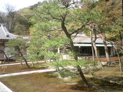 R傩